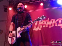 danko jones split dogs5088