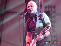 danko jones split dogs53