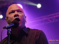 danko jones split dogs54
