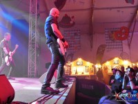 danko jones split dogs56