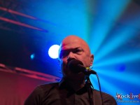danko jones split dogs57