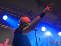 danko jones split dogs58