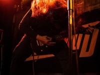 bolg