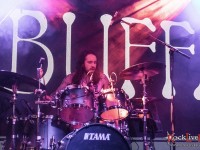 king buffalo