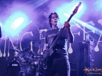 king buffalo