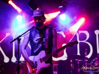 king buffalo