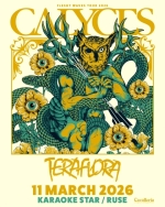 CALYCES