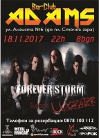 FOREVER STORM