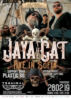 JAYA THE CAT
